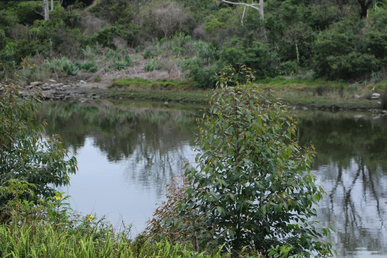 איסט לונדון Forword'S River Lodge מראה חיצוני תמונה